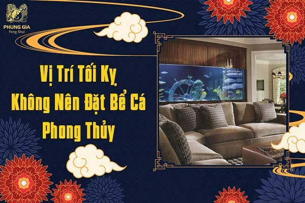 Vị Trí Tối Kỵ Không Nên Đặt Bể Cá Phong Thủy