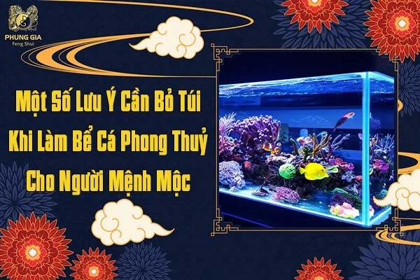 Lưu Ý Cần Bỏ Túi Khi Làm Bể Cá Phong Thủy Cho Người Mệnh Mộc