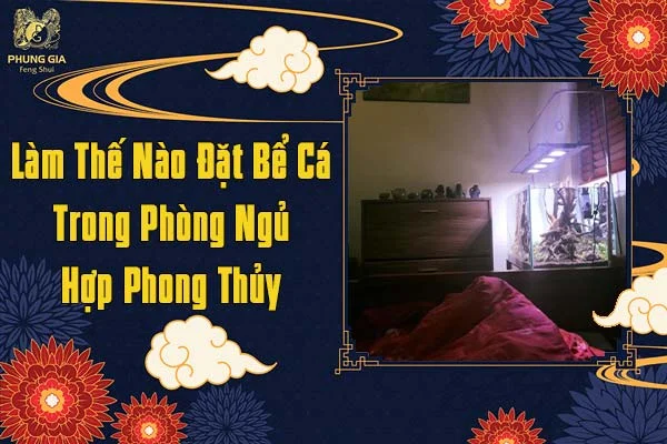 Làm Thế Nào Để Đặt Bể Cá Trong Phòng Ngủ Hợp Phong Thủy