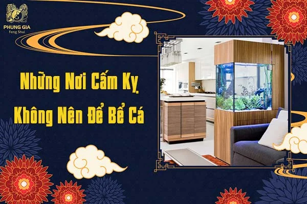 Những Nơi Cấm Kỵ Không Nên Để Bể Cá