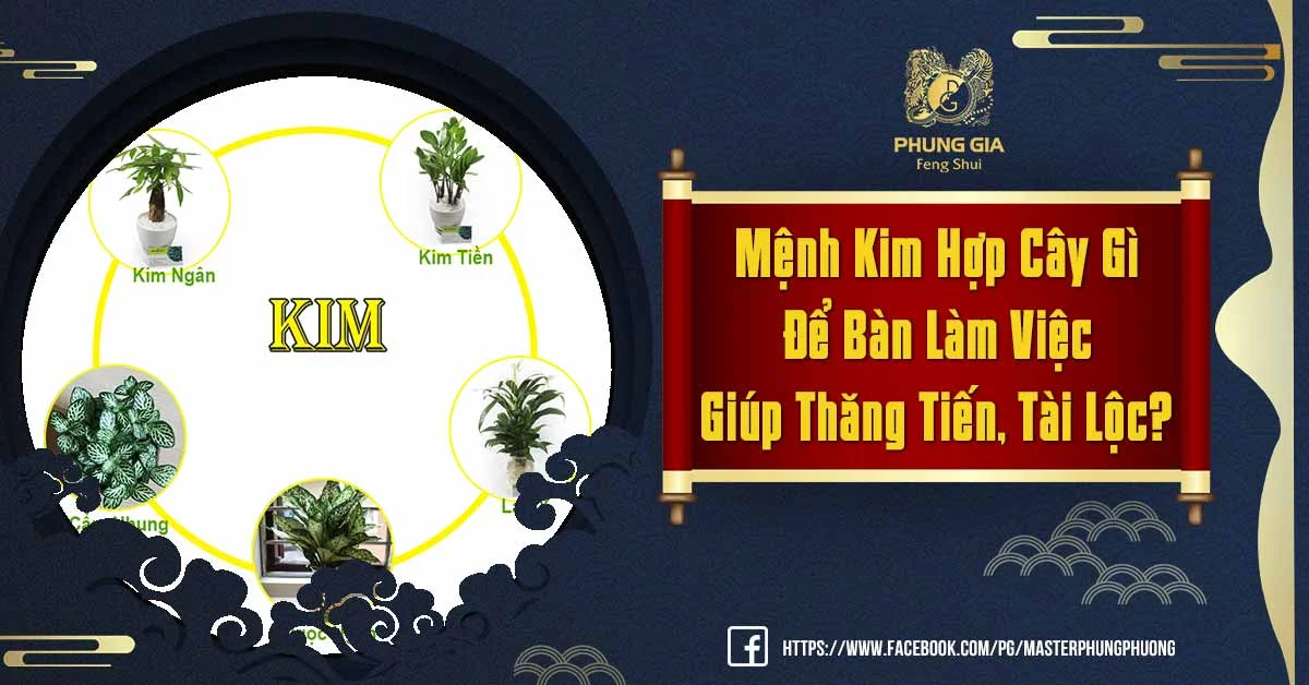 Tất Tần Tật Về Người Mệnh Kim Hợp Cây Gì Để Bàn Làm Việc?
