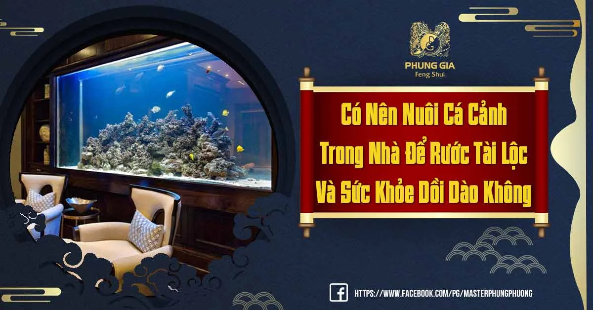 Có Nên Nuôi Cá Cảnh Trong Nhà Khi Bố Trí Phong Thủy Hay Không