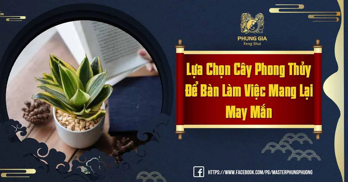 Cây Phong Thủy Để Bàn Làm Việc Mang Lại May Mắn Tài Lộc