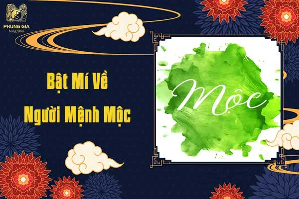 Bật Mí Của Người Mệnh Mộc