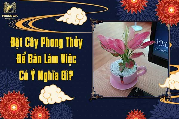 Đặt Cây Phong Thủy Để Bàn làm Việc Có Ý Nghĩa Gì