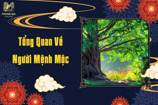 Tổng Quan Về Người Mệnh Mộc