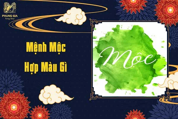 Mệnh Mộc Hợp Màu Gì