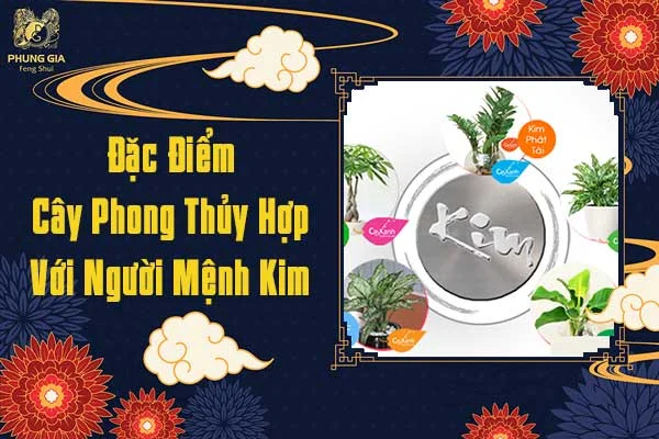 Đặc Điểm Cây Phong Thủy Hợp Với Người Mệnh Kim