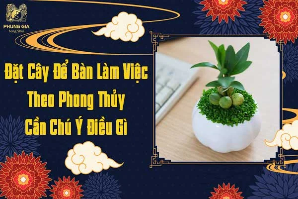 Khi Đặt Cây Để Bàn Làm Việc Theo Phong Thủy Cần Chú Ý Điều Gì