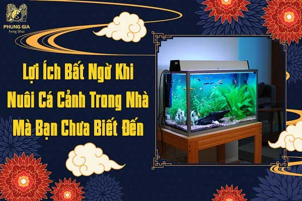 Lợi Ích Bất Ngờ Khi Nuôi Cá Cảnh Trong Nhà Mà Bạn Chưa Biết Đến