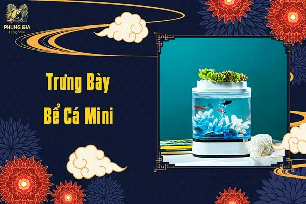 Trưng Bày Bể Cá Mini