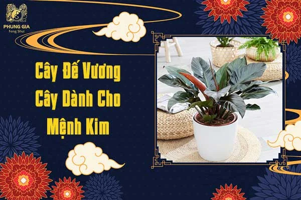 Cây Đế Vương