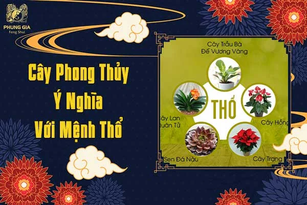 Cây Phong Thủy Ý Nghĩa Với Mệnh Thổ