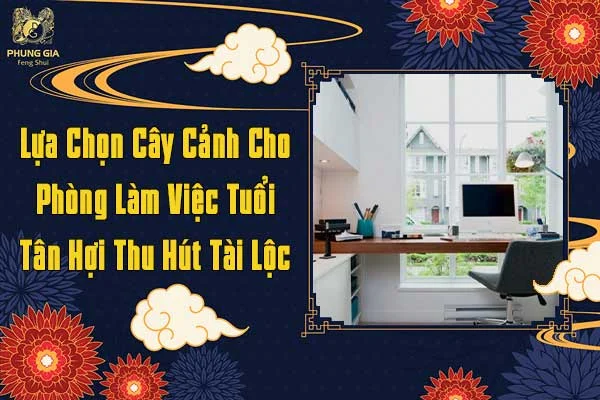 Lựa Chọn Cây Cảnh Cho Phòng Làm Việc Tuổi Tân Hợi Thu Hút Tài Lộc