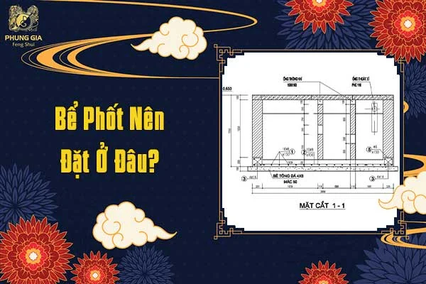 Bể Phốt Nên Đặt Ở Đâu