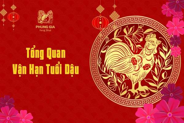 Tổng Quan Vận Hạn Tuổi Dậu