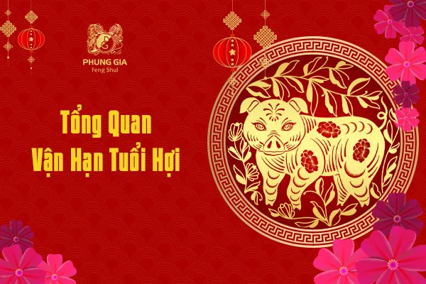 Tổng Quan Vận Hạn Tuổi Hợi