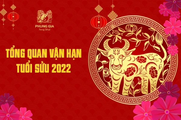 Tổng Quan Vận Hạn Tuổi Sửu