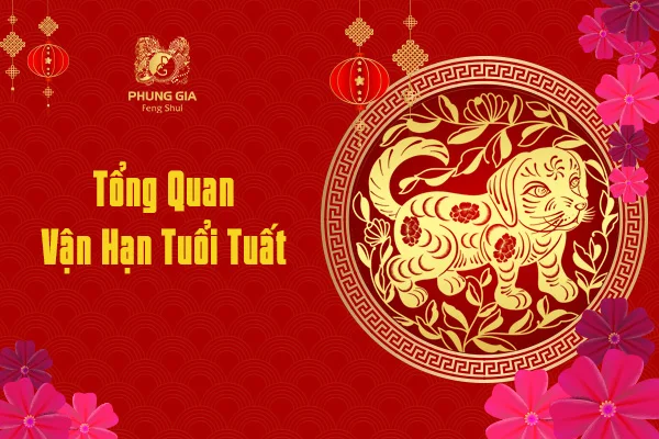Tổng Quan Vận Hạn Tuổi Tuất