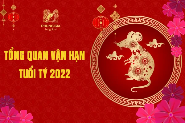 Tổng Quan Vận Hạn Tuổi Tý 2022