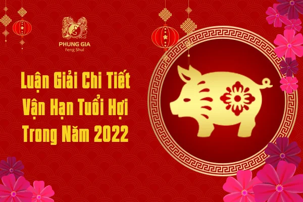 Luận Giải Chi Tiết Vận Hạn Tuổi Hợi Trong Năm 2022