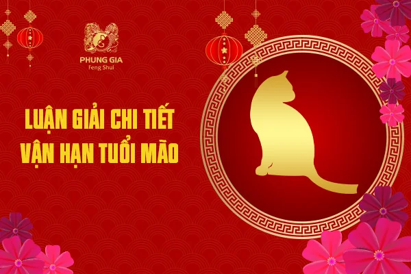 Luận Giải Chi Tiết Vận Hạn Tuổi Mão