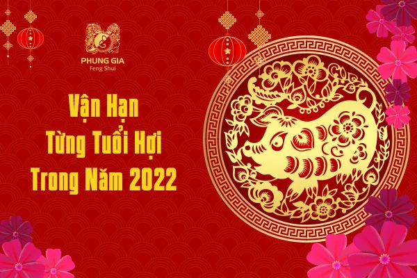 Vận Hạn Từng Tuổi Hợi Trong Năm 2022