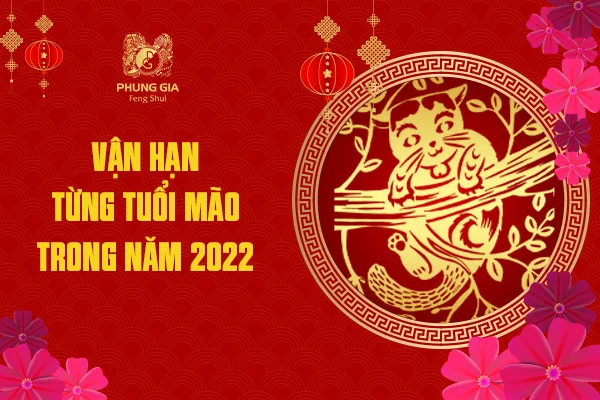 Vận Hạn Từng Tuổi Mão Trong Năm 2022