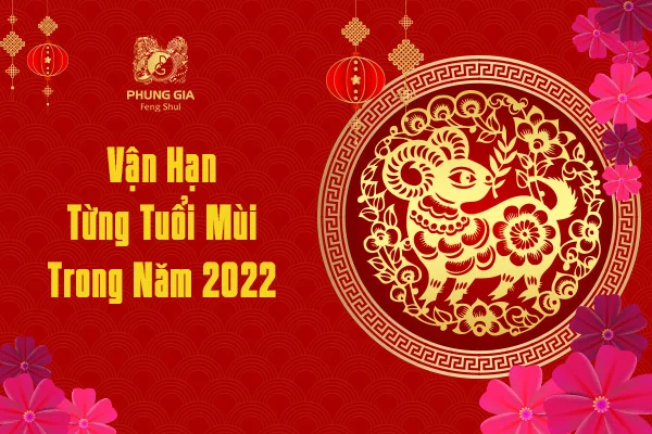 Vận Hạn Từng Tuổi Mùi Trong Năm 2022