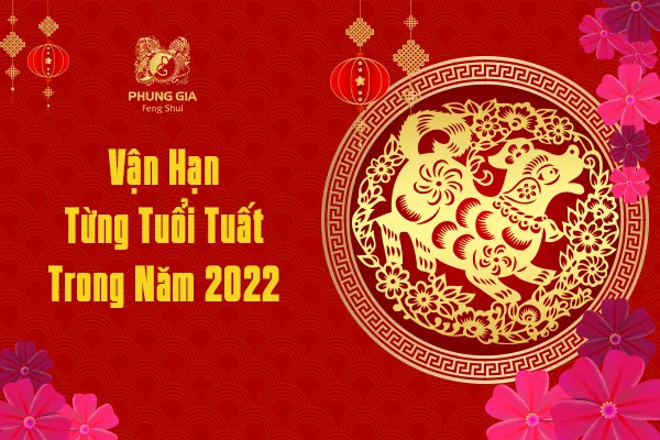 Vận Hạn Từng Tuổi Tuất Trong Năm 2022