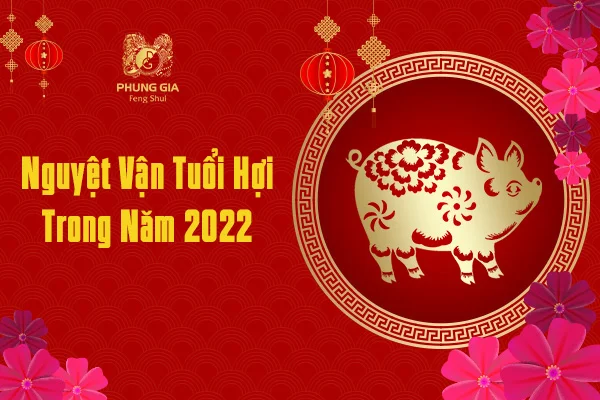  Nguyệt Vận Tuổi Hợi Trong Năm 2022 Nguyệt Vận Tuổi Hợi Trong Năm 2022