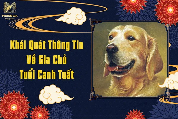 Khái Quát Thông Tin Về Gia Chủ Tuổi Canh Tuất