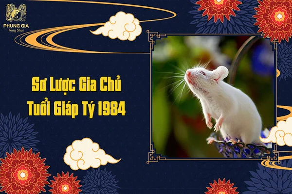 Sơ Lược Gia Chủ Tuổi Giáp Tý 1984