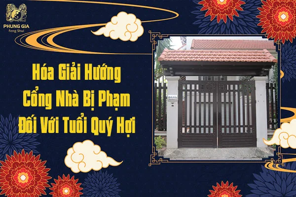 Hóa Giải Hướng Cổng Nhà Bị Phạm Đối Với Tuổi Quý Hợi
