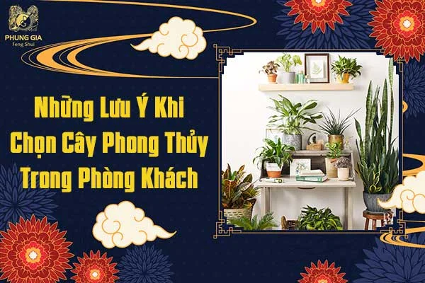 Những Lưu Ý Khi Chọn Cây Phong Thủy Trong Phòng Khách