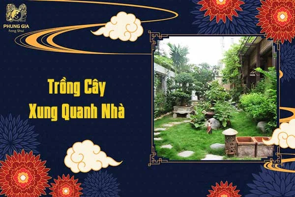 Trồng Cây Xunh Quanh Nhà