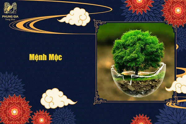 Mệnh Mộc