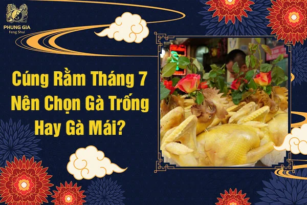 Cúng Rằm Tháng 7 Nên Chọn Gà Trống Hay Gà Mái