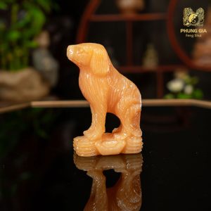 Chó Ngọc Hoàng Long