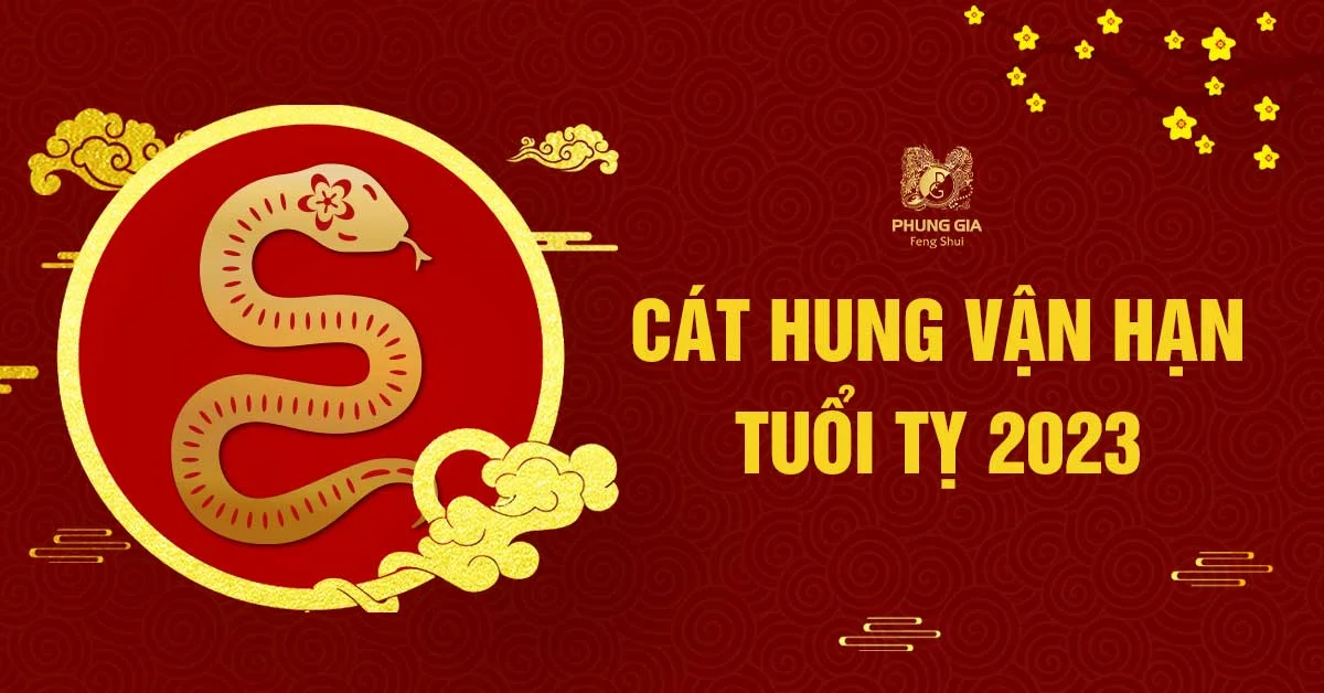 Lá Số Vận Hạn Tuổi Tỵ - Quý Mão 2023