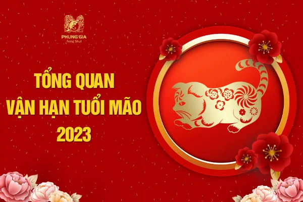 Tổng Quan Vận Hạn Tuổi Mão