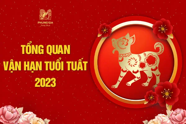 Tổng quan lá số vận hạn tuổi Tuất