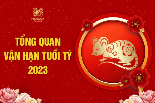 Tổng Quan Vận Hạn Tuổi Tý