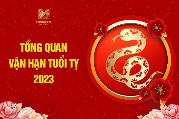Tổng Quan Vận Hạn Tuổi Tỵ