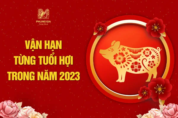 Vận Hạn Từng Tuổi Hợi