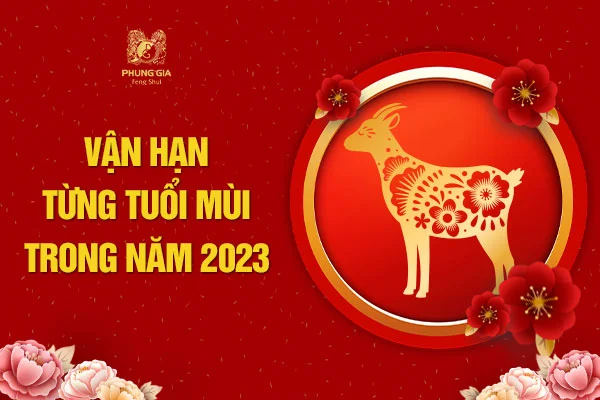 Vận Hạn Từng Tuổi Mùi Trong Năm