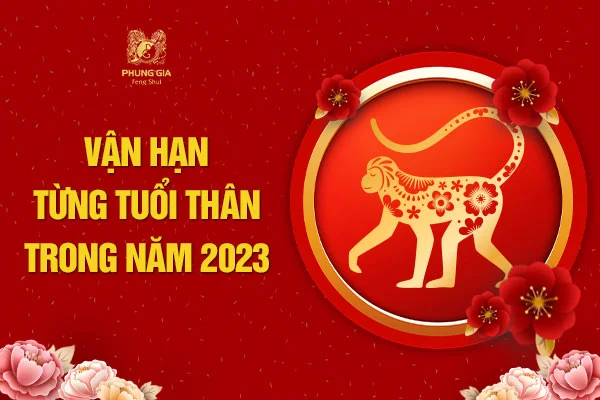 Vận Hạn Từng Tuổi Trong Năm 2023