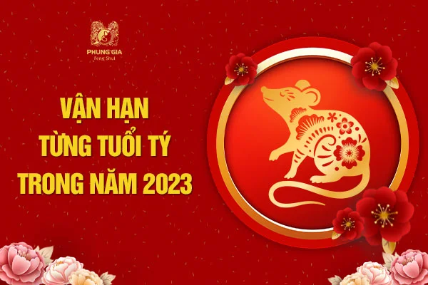 Vận Hạn Từng Tuổi Tý