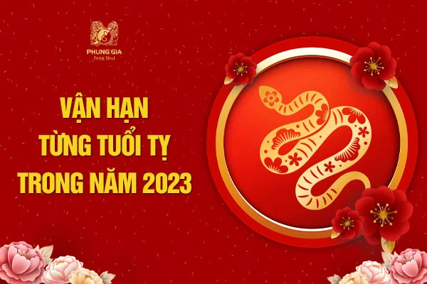 Vận Hạn Từng Tuổi Tỵ Trong Năm 2023