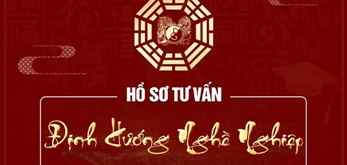 ho-so-dinh-huong-nghe-nghiep